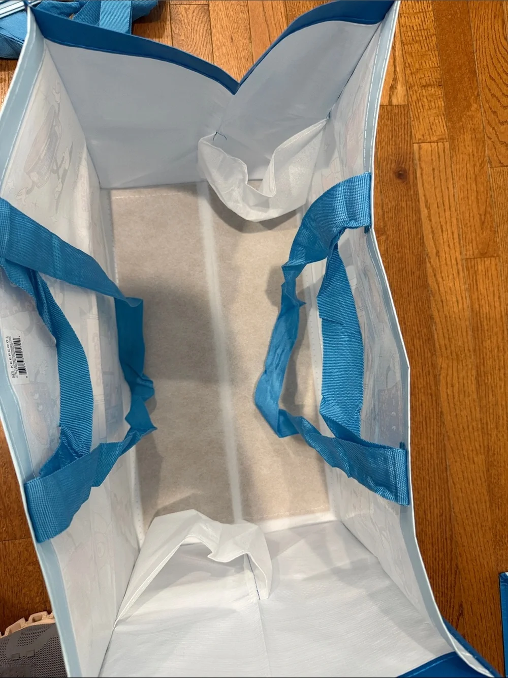 NWT Reusable Light Blue Costco Grocery Bags - Pack of 4